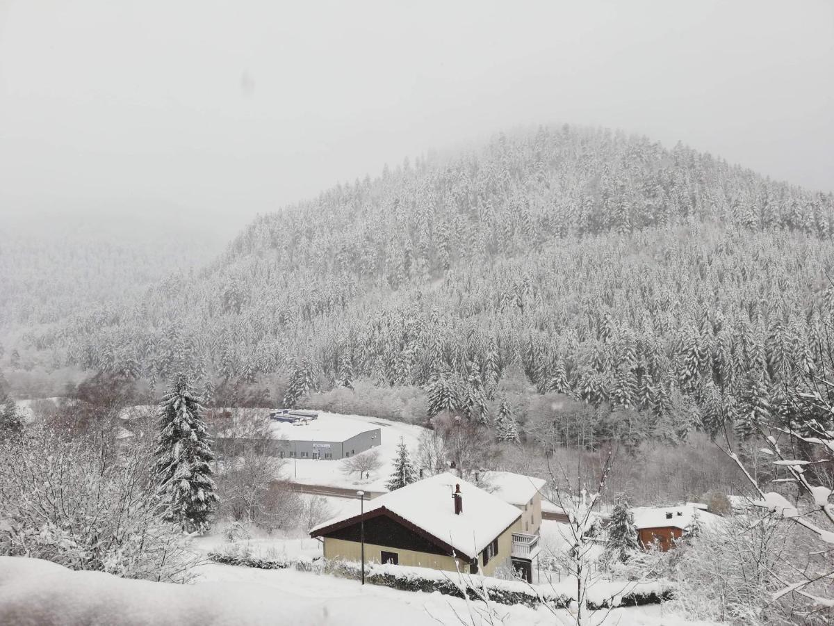 Chalet Le Bruleux La Bresse Ngoại thất bức ảnh